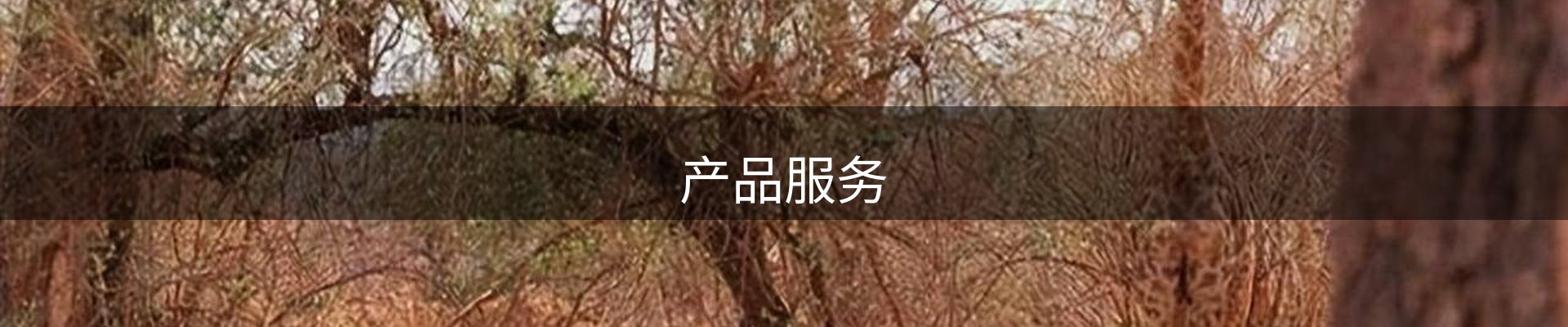 产品服务